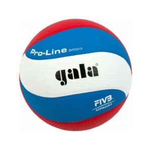 Volejbalový míč Gala Pro-line 10 panelu 5591 S