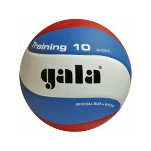 Volejbalový míč Gala Training 10 panelů