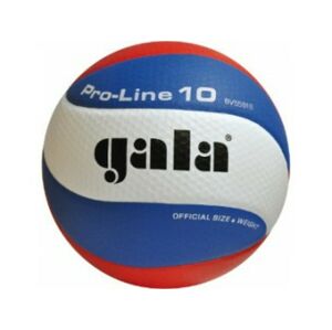 Volejbalový míč Gala PRO-LINE 10 panelů