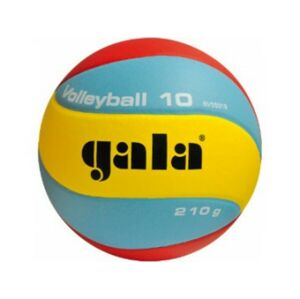 Volejbalový míč Gala Training 210g 10 panelů