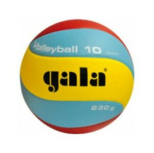 Volejbalový míč Gala Training 230g 10 panelů