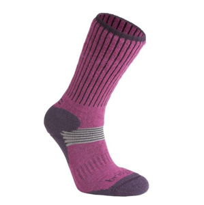 Ponožky BRIDGEDALE XC Classic Womens Berry Plum 352 L (9,5-12)