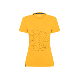 Dámské tričko Salewa PURE SKYLINE DRY W T-SHIRT 28451-2196