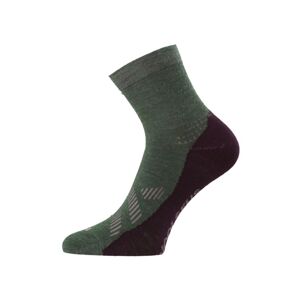 Ponožky merino Lasting FWT-669 zelené