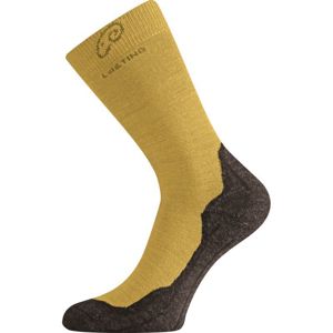 Ponožky Lasting WHI 640 S (34-37)